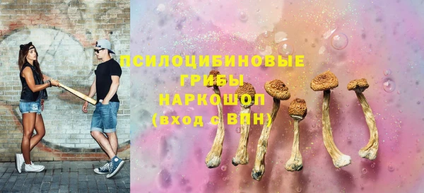 хмурый Алзамай