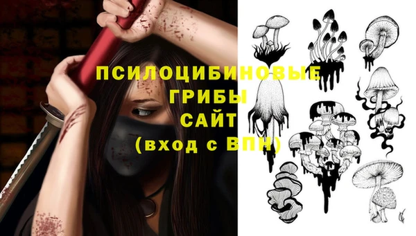 дмт Ростов