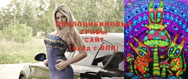 хмурый Алзамай