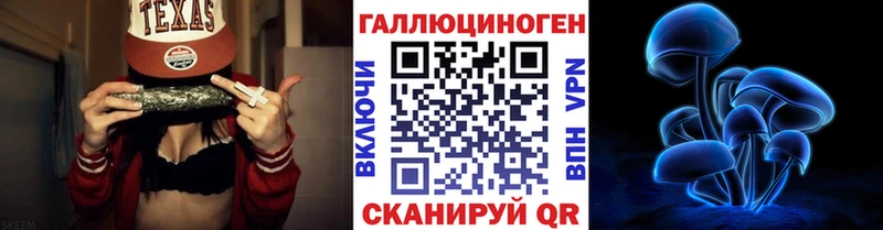 Псилоцибиновые грибы Psilocybe  купить   Георгиевск 