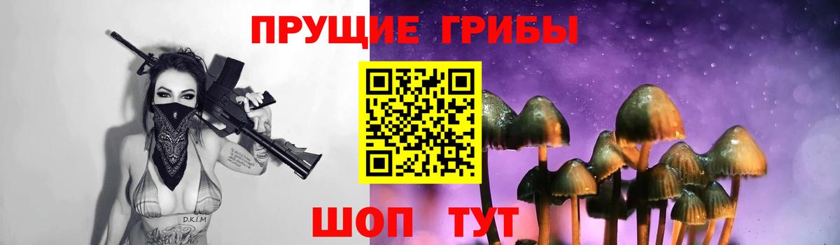 Псилоцибиновые грибы Psilocybe  Вход с VPN  Георгиевск 